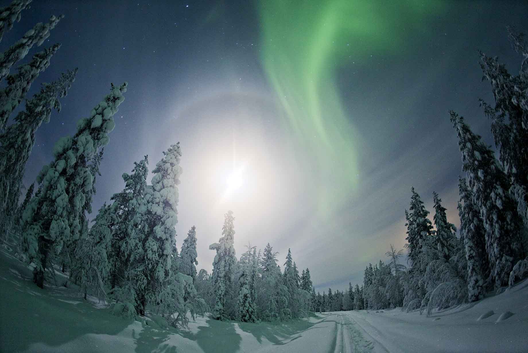 Lapland rejser