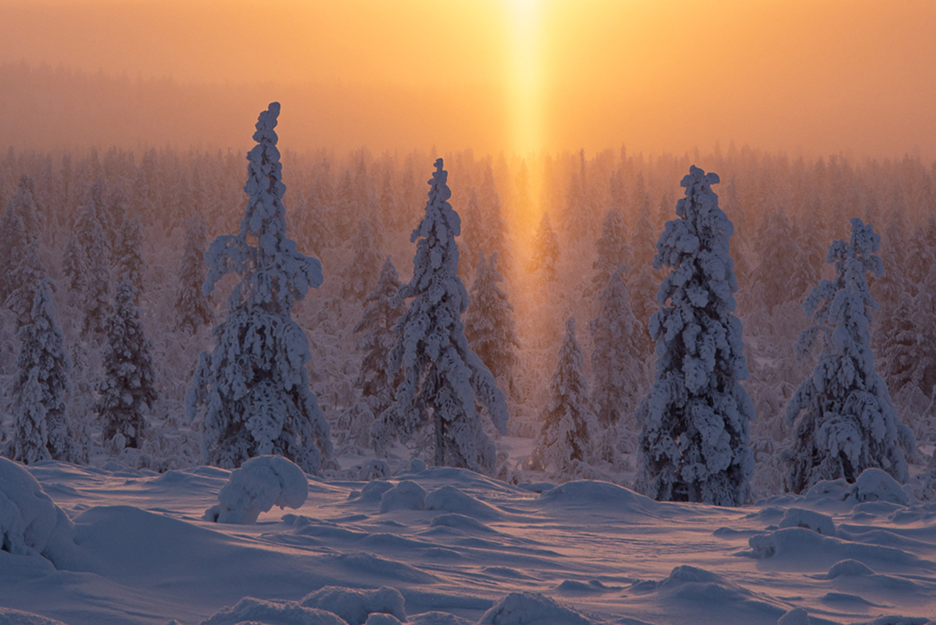 Luksusrejse Lapland 5 dage